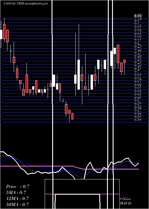 Daily chart TrinityBiotech