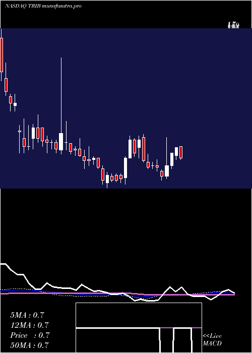 weekly chart TrinityBiotech