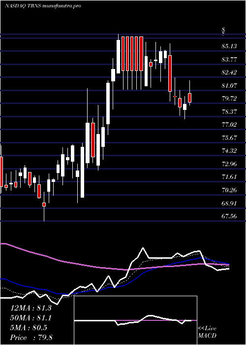 Daily chart TranscatInc