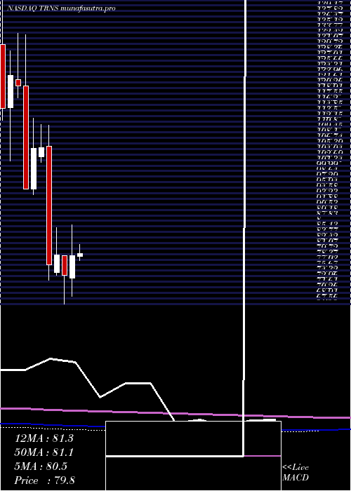 monthly chart TranscatInc