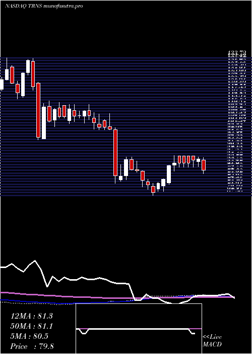 weekly chart TranscatInc