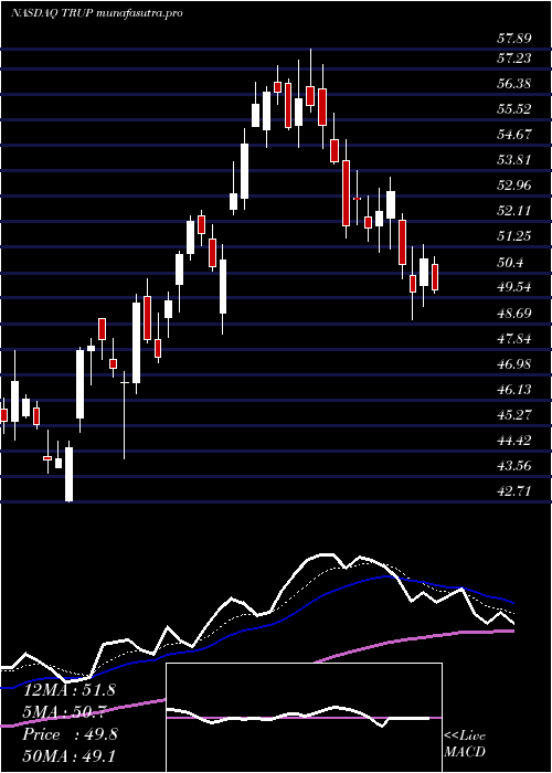Daily chart TrupanionInc