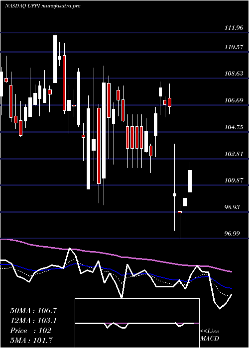 Daily chart UniversalForest