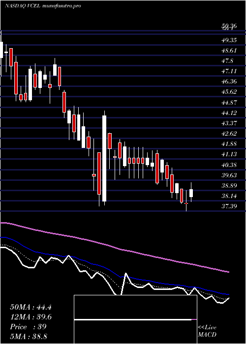 Daily chart VericelCorporation