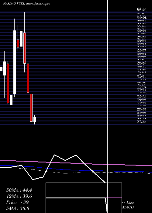 monthly chart VericelCorporation
