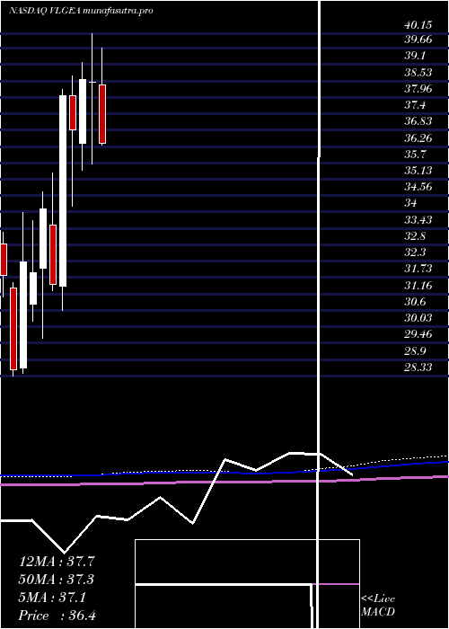 monthly chart VillageSuper