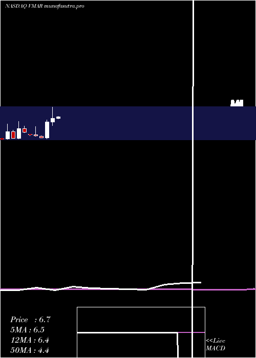 monthly chart VisionMarine
