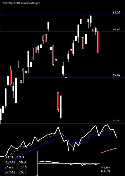 Daily chart VanguardInternational
