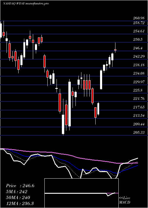 Daily chart WorkdayInc