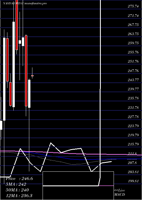 monthly chart WorkdayInc
