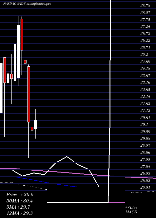 monthly chart WeycoGroup