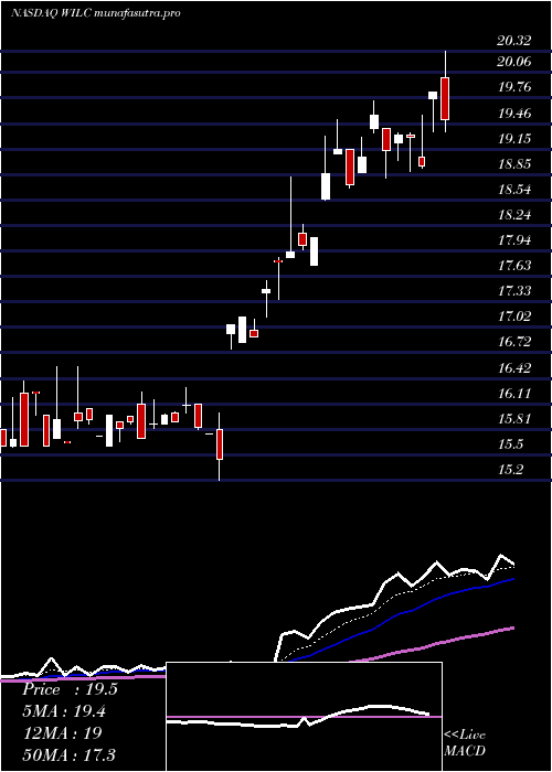 Daily chart GWilli