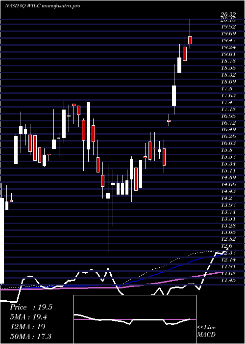 weekly chart GWilli
