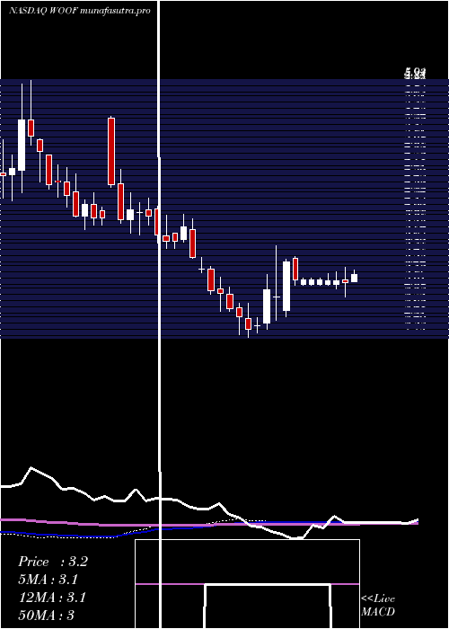 weekly chart VcaInc