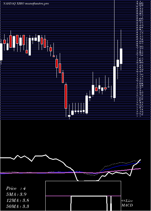 weekly chart XeneticBiosciences
