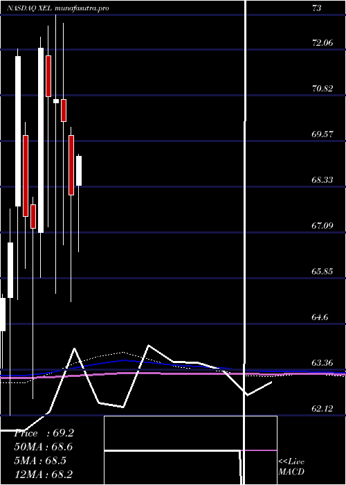 monthly chart XcelEnergy