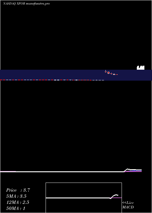Daily chart X4Pharmaceuticals