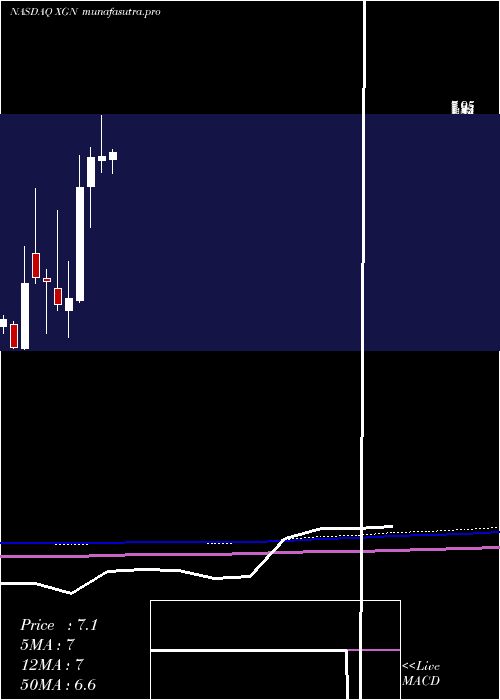 monthly chart ExagenInc