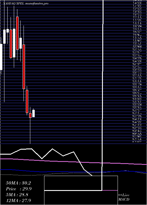 monthly chart XpelTechnologies
