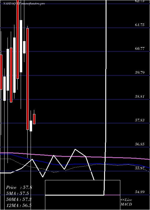 monthly chart IsharesExponential