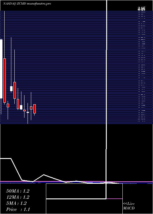 monthly chart ZhongchaoInc