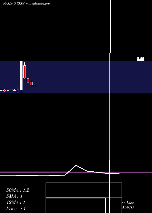 monthly chart ZkInternational