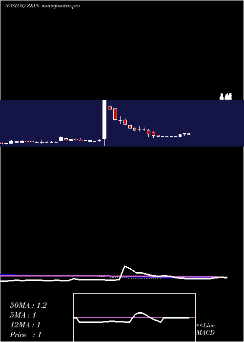 weekly chart ZkInternational