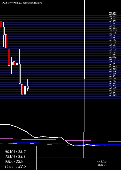 monthly chart 3iInfotech