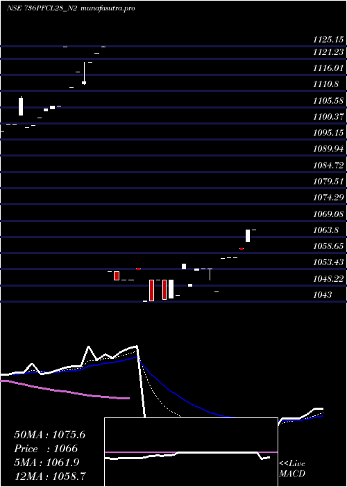 Daily chart 736