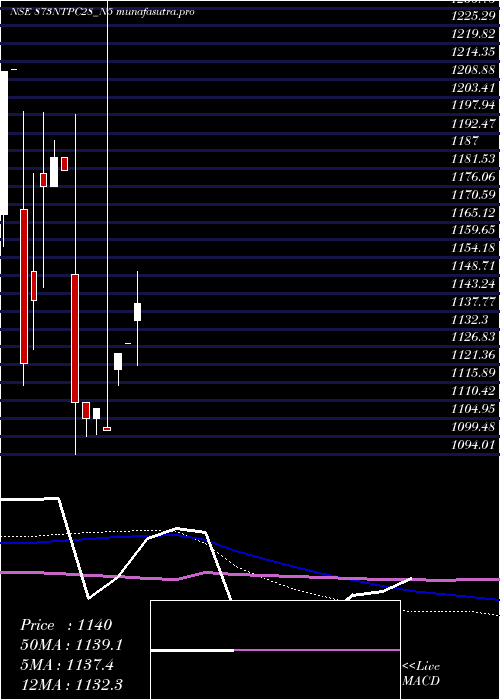 monthly chart 873