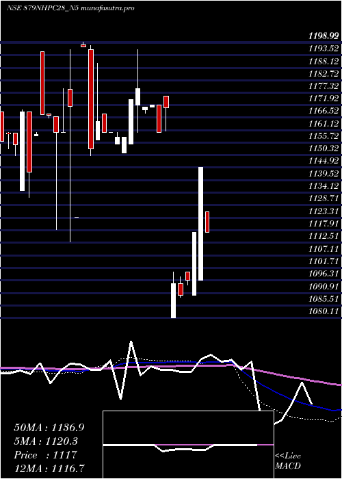 weekly chart 879