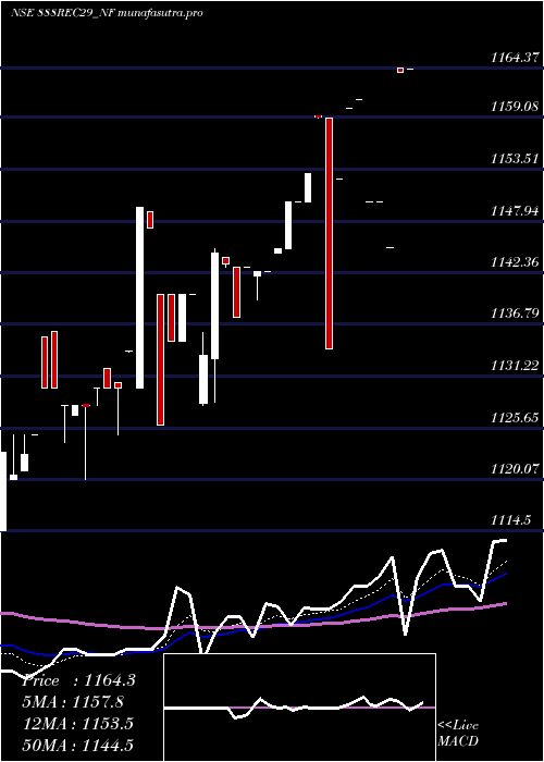 Daily chart Bond888