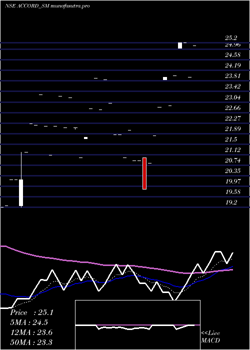  Daily chart AccordSynergy