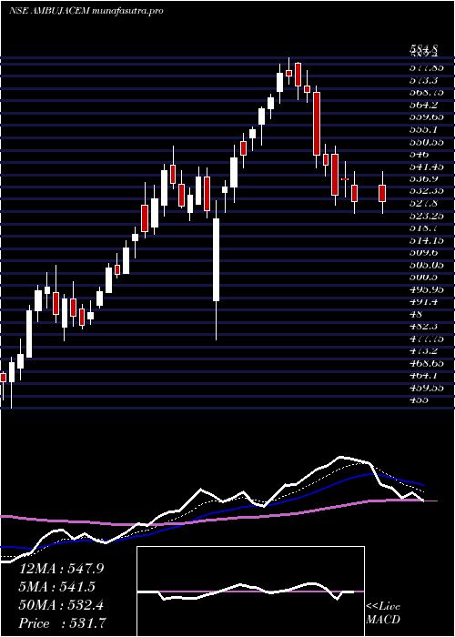  Daily chart AmbujaCements