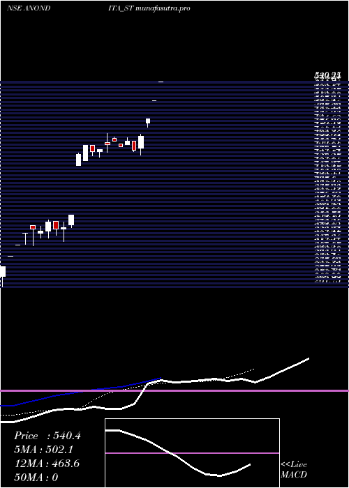 Daily chart AnonditaMedicare
