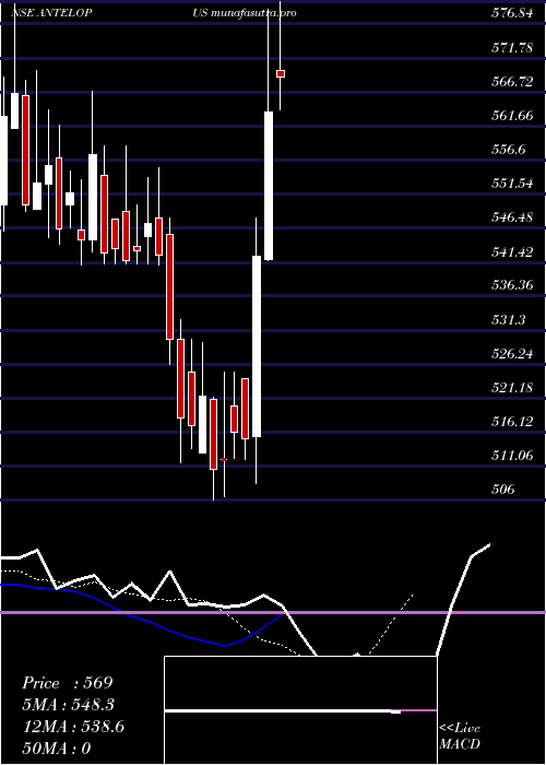 Daily chart AntelopusSelan