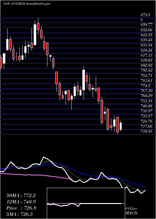 Daily chart AnthemBiosciences