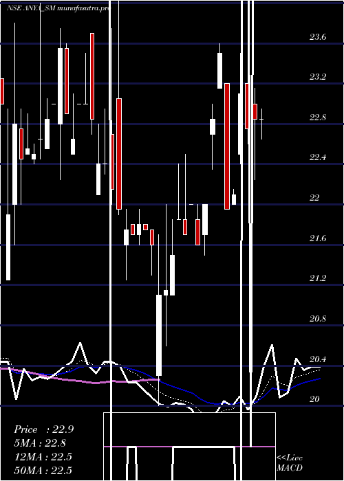 Daily chart AnyaPolytech