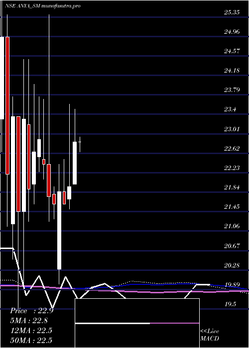 weekly chart AnyaPolytech