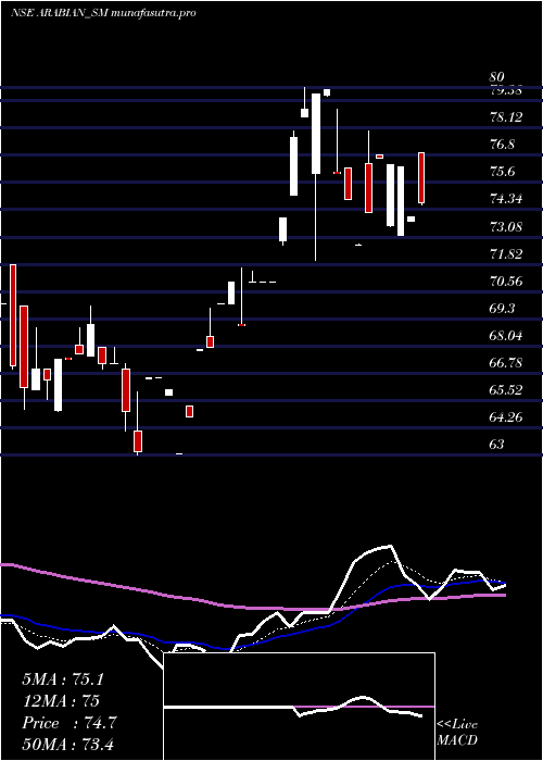 Daily chart ArabianPetroleum