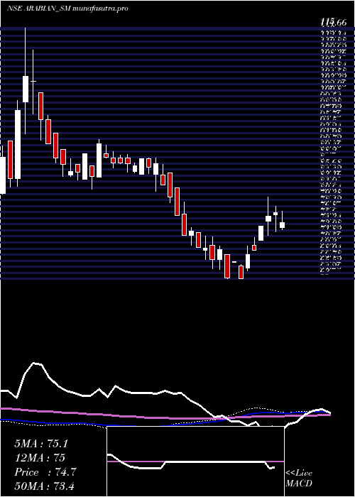 weekly chart ArabianPetroleum