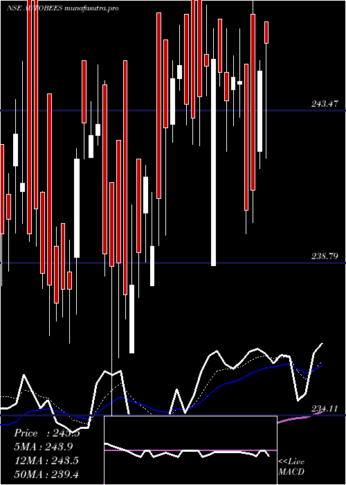 Daily chart NipponamcNetfauto