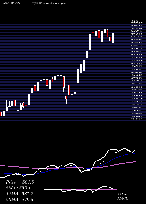 Daily chart AvadhSug