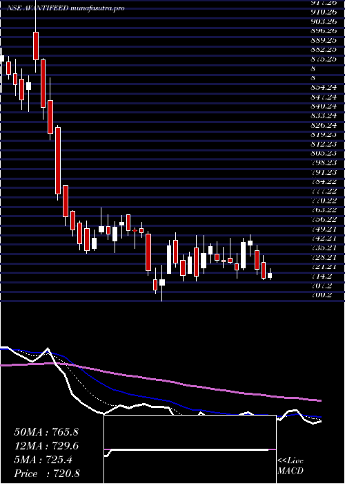 Daily chart AvantiFeeds