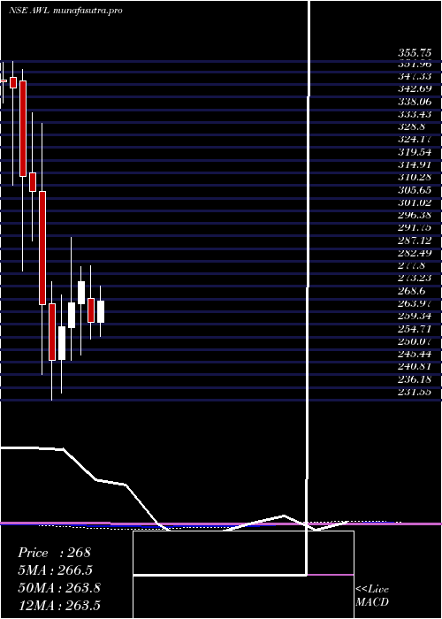 monthly chart AdaniWilmar