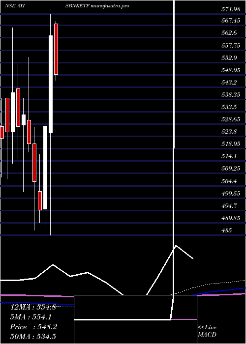 monthly chart AxisamcAxisbnketf