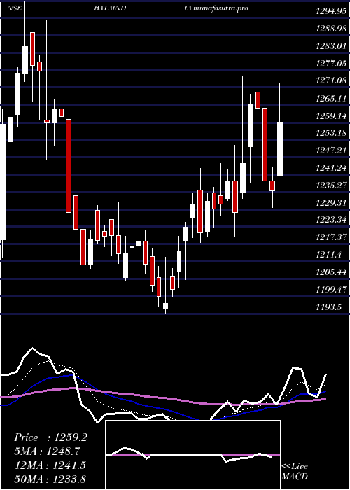 Daily chart BataIndia