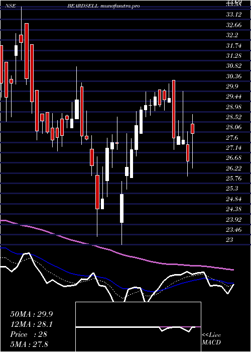 Daily chart Beardsell