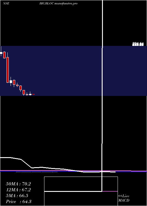 monthly chart BigblocConst