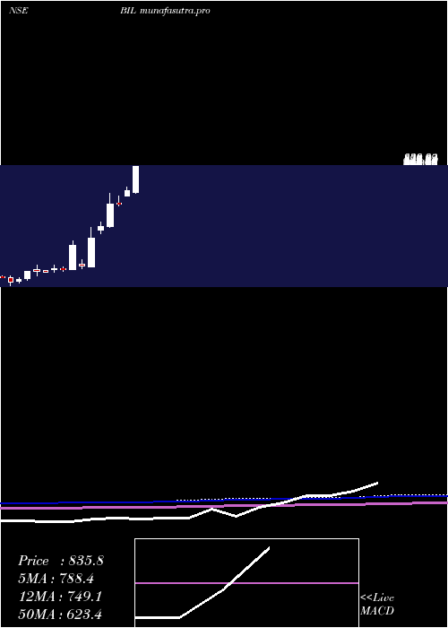 monthly chart BhartiyaInternational